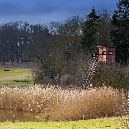 Tiny House Fleesensee Mit Eigenem Garten Und Nur Wenige Meter Vom Seeufer Göhren-Lebbin Dış mekan fotoğraf