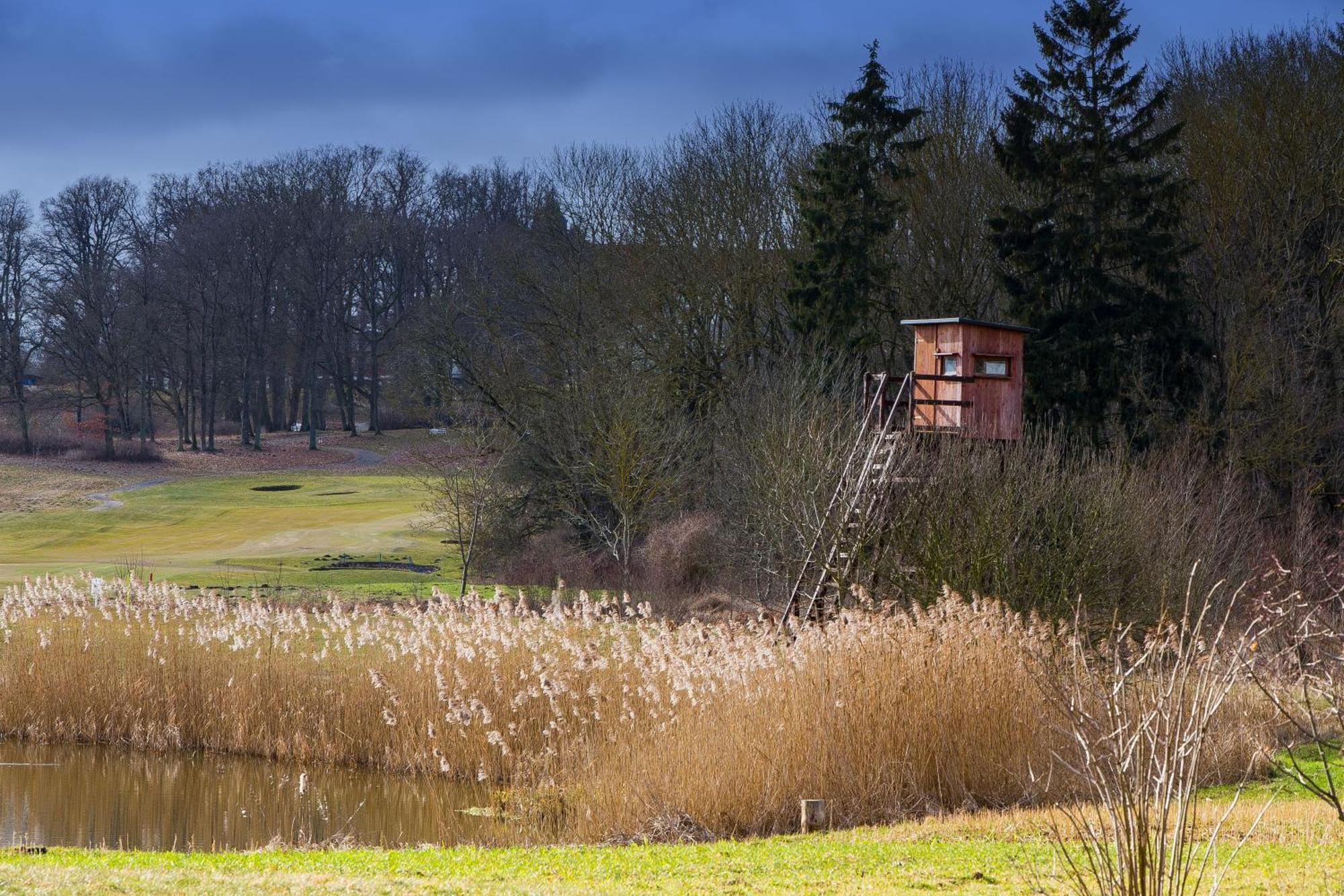 Tiny House Fleesensee Mit Eigenem Garten Und Nur Wenige Meter Vom Seeufer Göhren-Lebbin Dış mekan fotoğraf